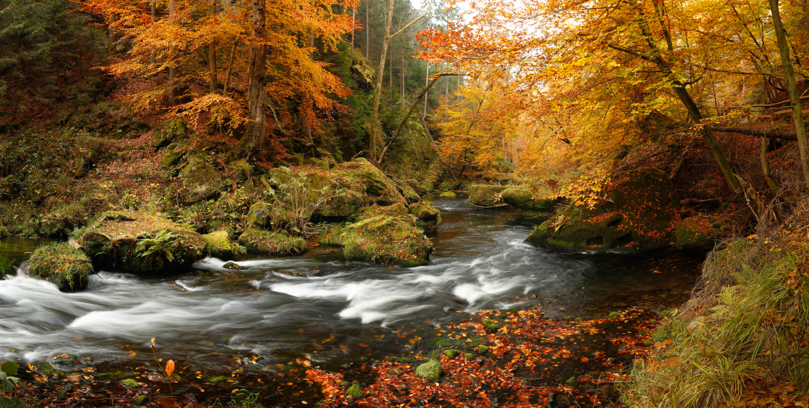 Kamenice