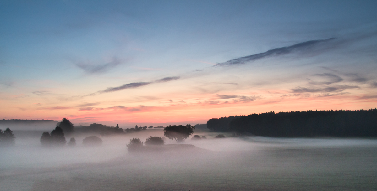 Ranní mlhy